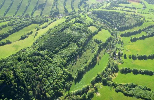 An aerial view of terraced fields and a small forest