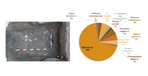 Photo of structure under excavation and chart showing distribution of species