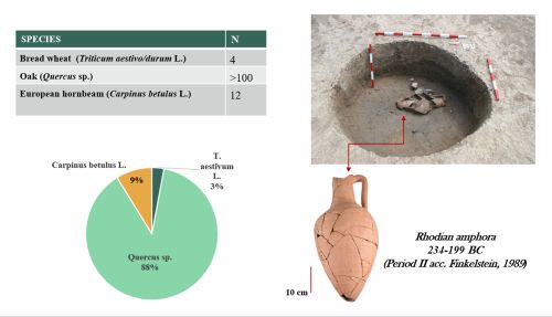 Photo of structure under excavation and chart showing distribution of species