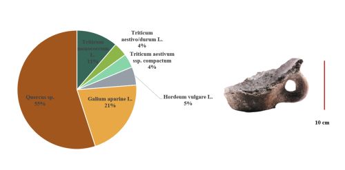 Photo of pottery vessel and and chart showing distribution of species