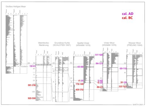 A series of charts showing recalibration of the pollen diagrams in the vicinity of the research area