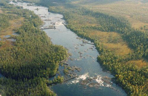 An aerial view of a river running through a forest