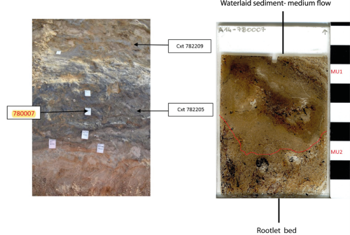 Section SS02. Micromorph sample 780007