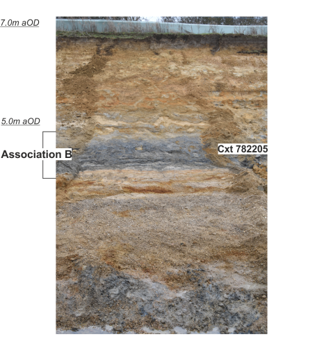 a cross-section of an excavated trench