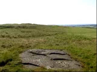 Fig 6: Dodlaw carved stone