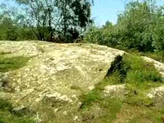 Fig 3: Broad view of Roughting Linn carved stone