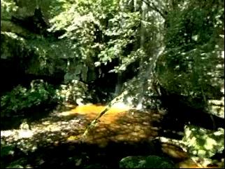 Fig 2: Roughting Linn falls