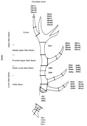 figure 3a