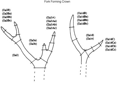 figure 3b