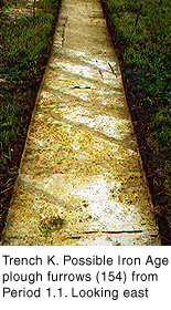 Trench K: Possible Iron Age plough furrows (154) from Period 1.1. Looking east.